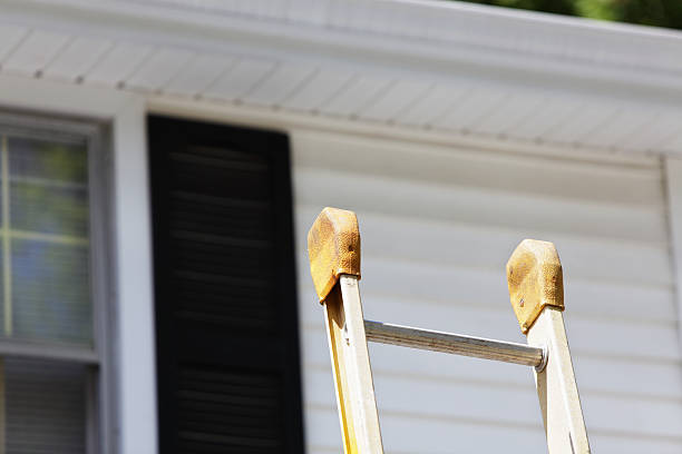 Best Furniture Removal  in Lino Lakes, MN
